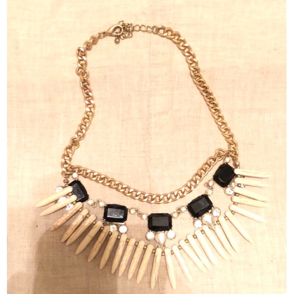 Black Stone and Horn Necklace